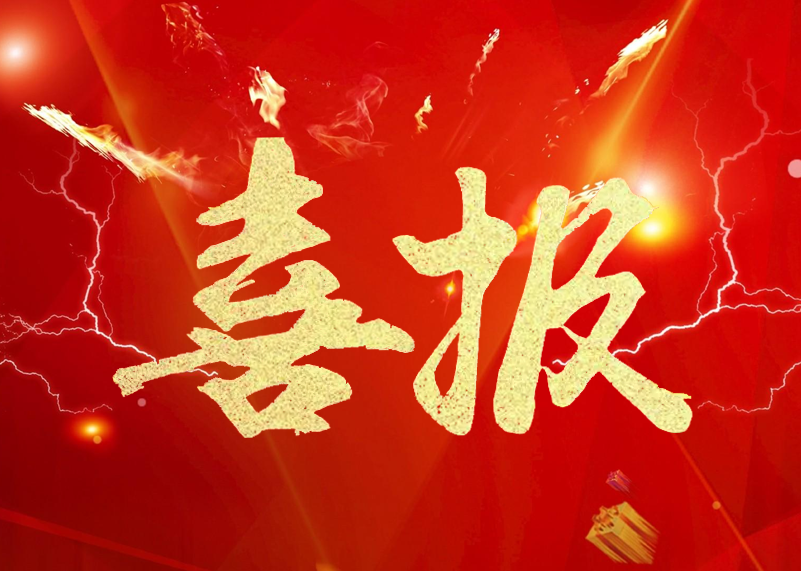 Lewin乐玩官网显示再获行业殊荣